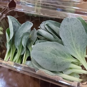 生蠔葉 30公克 (菁菜園出品)：圖片 4