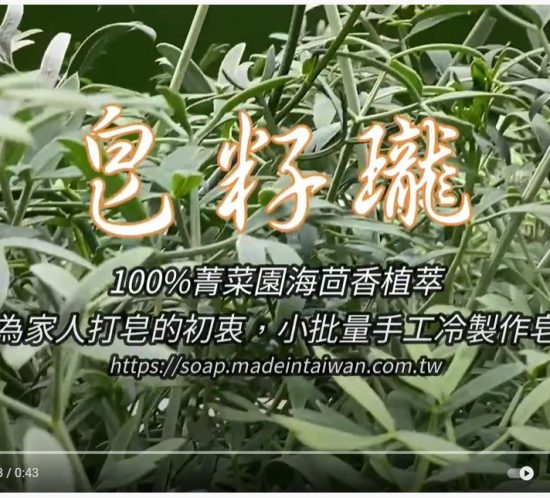 海茴香手工皂